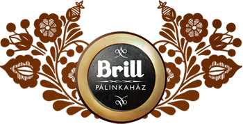 brill_logo